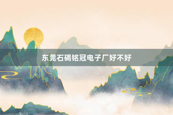 东莞石碣铭冠电子厂好不好